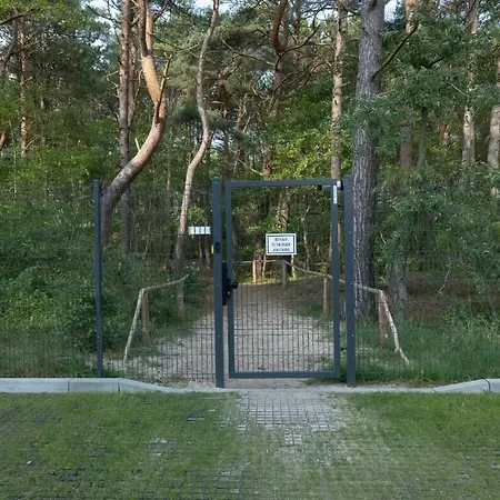 Pearl Exclusive By Renters