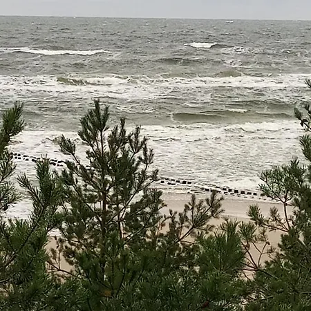 Pearl Exclusive By Renters *