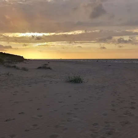 Pearl Exclusive By Renters