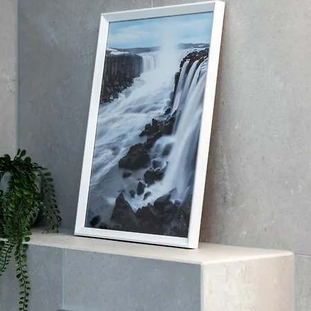 Pearl Exclusive By Renters *