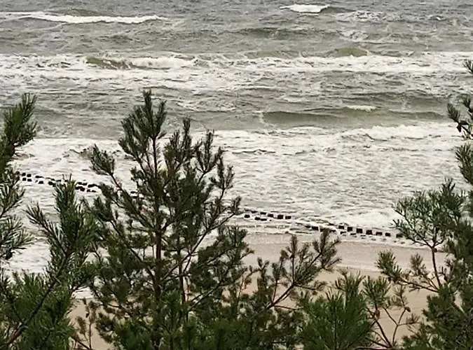 Pearl Exclusive By Renters *