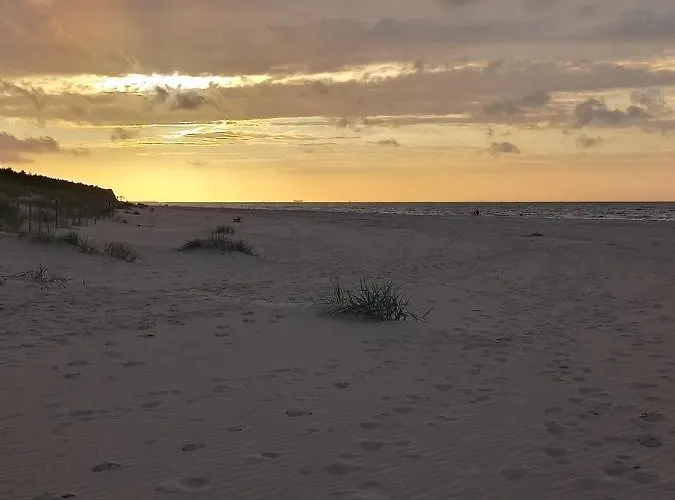 Pearl Exclusive By Renters