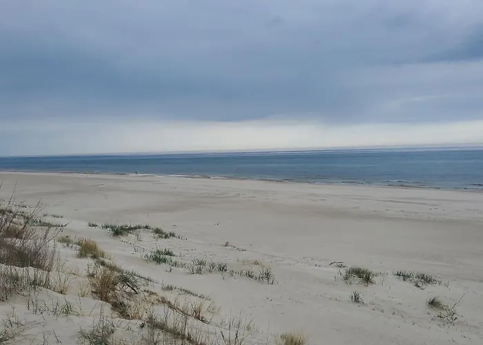 Pearl Exclusive By Renters * روغوفو