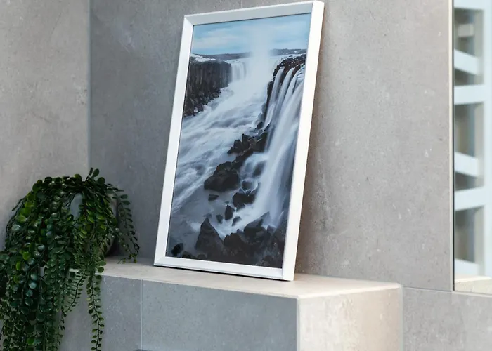 Pearl Exclusive By Renters *